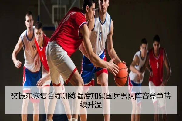 樊振东恢复合练训练强度加码国乒男队阵容竞争持续升温